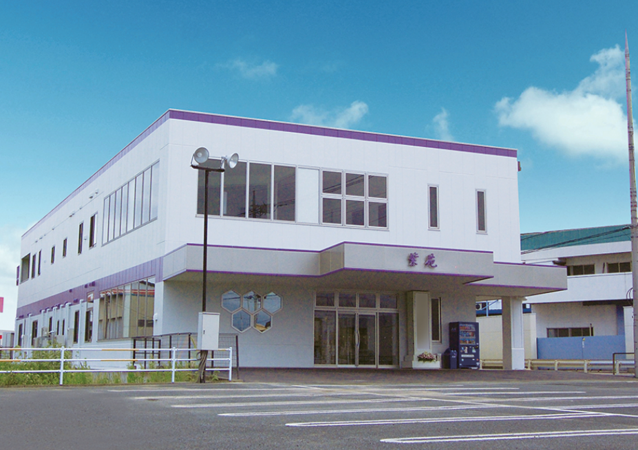 紫苑（しおん） | 【公式】有限会社さかいわ造花店